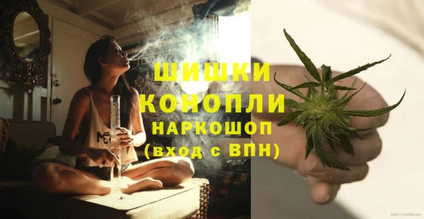 гашик Богородицк