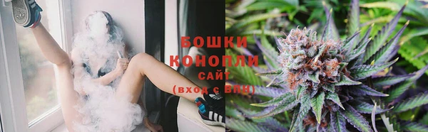 гашик Богородицк