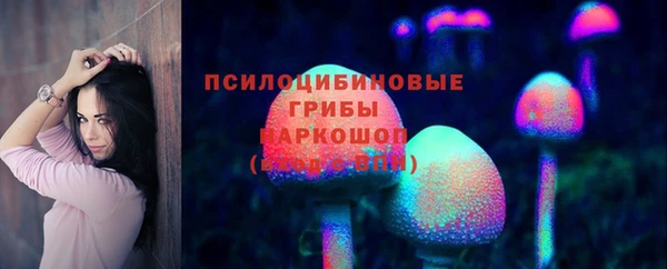 индика Белокуриха