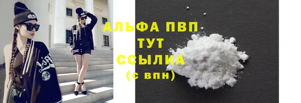 индика Белокуриха