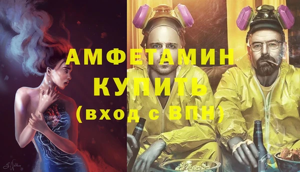 индика Белокуриха